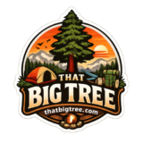 that big tree